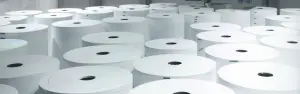 Pulpa papierowa i papier