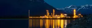 Ropa naftowa, gaz i produkty petrochemiczne